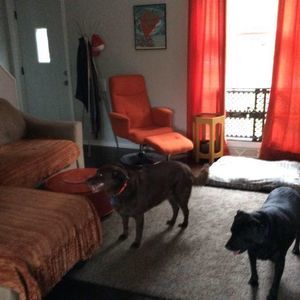 Meet your Posher, Sue